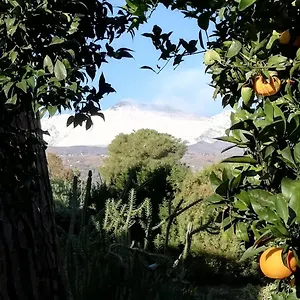 https://etna-mare-jonio.sicilyhotelsitaly.net